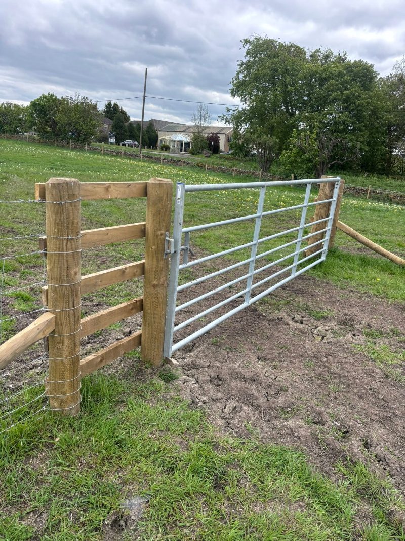 Crash-rated Fencing in Derry